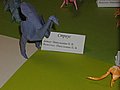 IMG_1668.JPG