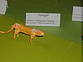IMG_1669.JPG