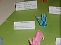 IMG_1675.JPG