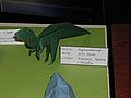 IMG_1678.JPG