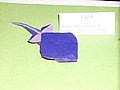 IMG_1688.JPG